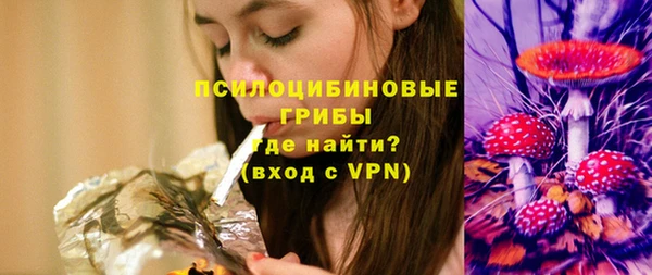 крисы Богданович