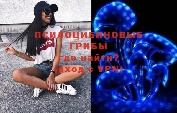 крисы Богданович