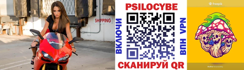 OMG как войти  Великий Новгород  Псилоцибиновые грибы MAGIC MUSHROOMS 